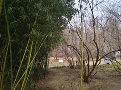 -丰台花园