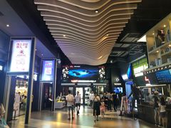 -新影联·华谊兄弟影院(望京店)