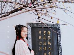 -八大山人梅湖景区