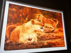 -罗红摄影艺术馆