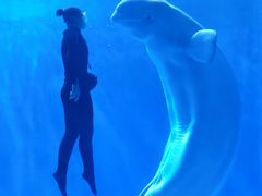 -多彩贵州城极地海洋世界