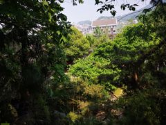 -蒋氏故居