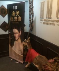 -HMC美容按摩SPA馆