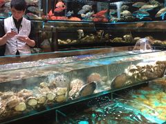 水产区-金翠皇宫粤菜·点心·海鲜(科技园店)