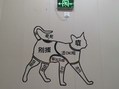 -创凡宠物医院·骨专科  猫科中心(西乡分院)