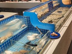 -星伦多自助料理·涮烤一体(杭州来福士店)