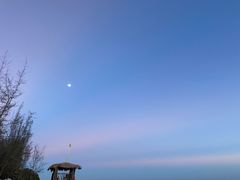 -贝壳沙滩