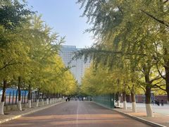 -辽宁大学(崇山校区)