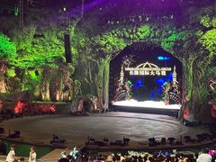 -广州长隆国际大马戏