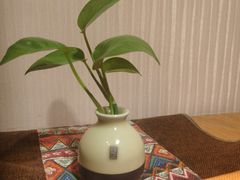 -河风精致寿司(尼盛店)