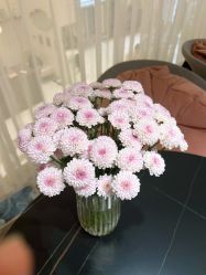 -海菲秀黑钻·SELF SKIN悦己·Tech SPA