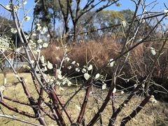 -宁波儿童公园(鄞州区)