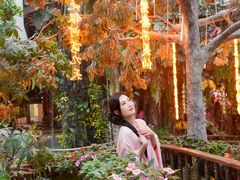 -正佳雨林生态植物园