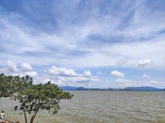 -深圳湾公园(南山区)