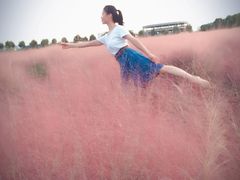-映月湖中央公园