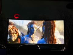 -枫花园汽车电影院(朝阳公园店)