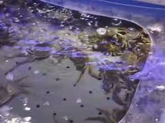 -澜悦港海鲜体验主题餐厅
