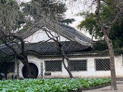 -绍兴鲁迅故里·沈园景区