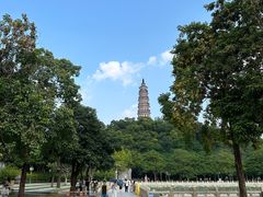 -顺峰山公园