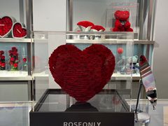 -ROSEONLY诺誓(广州K11店)