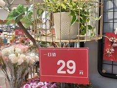 -Purcotton全棉时代(壹方城购物中心店)