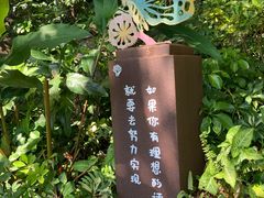 -亚龙湾热带天堂森林公园
