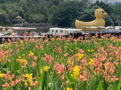 -荔枝公园(福田区)