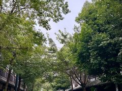 -安仁古镇