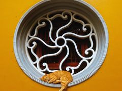 -西园戒幢律寺