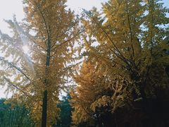 -苏州图书馆(姑苏区分馆)