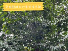 -广州神农草堂中医药博物馆