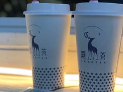 -麓茶