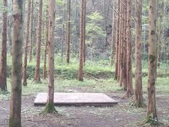 -小格里自然风景区