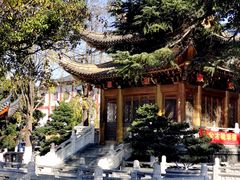 -上海东林寺(金山区)