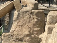 -石家庄市动物园