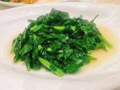 清炒板蓝根-玉华台饭庄·淮扬菜·烤鸭(望京店)