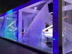-海心沙亚运公园