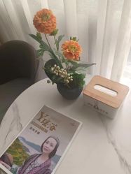 -御品•瑶浴灸疗SPA