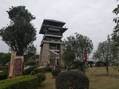 -大湾区中央湿地公园