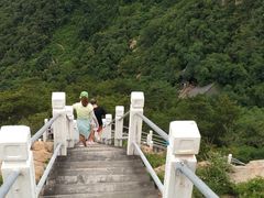 -石老人观光园