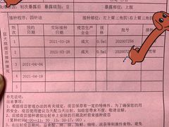 -上海市嘉定区中医医院