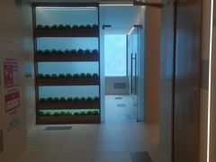 -凯德广场(武胜路店)