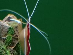 -大连圣亚海洋世界