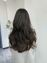 -FINE HAIR 烫染专业设计