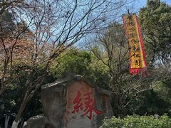 -杭州黄龙洞