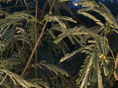 -屋里家延边朝鲜族冷面(梅林3店)