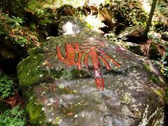 -藏龙百瀑风景区