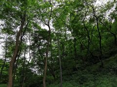 -秦岭风景区