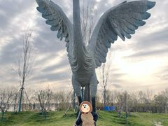 -天津东丽湖风景区