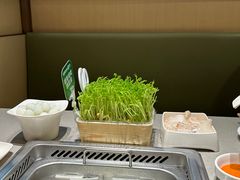 -海底捞火锅(奥森店)